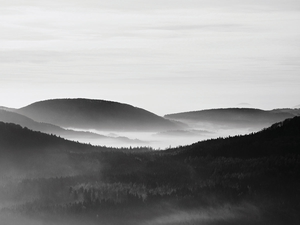 Foggy Dawn Hills