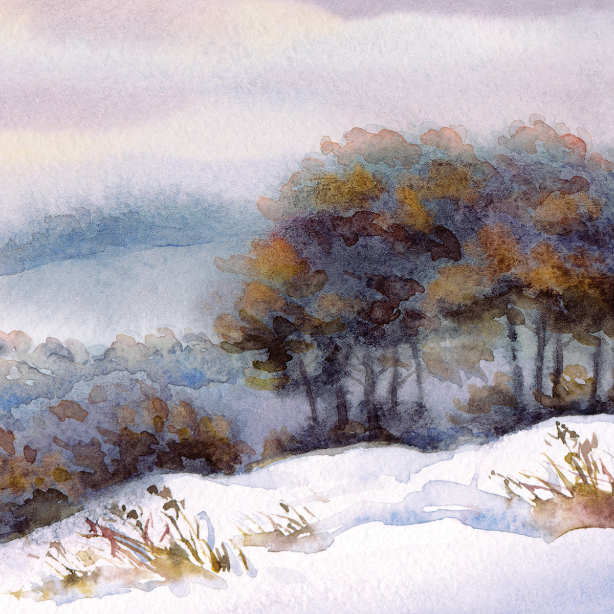 Frosty Blues Valley
