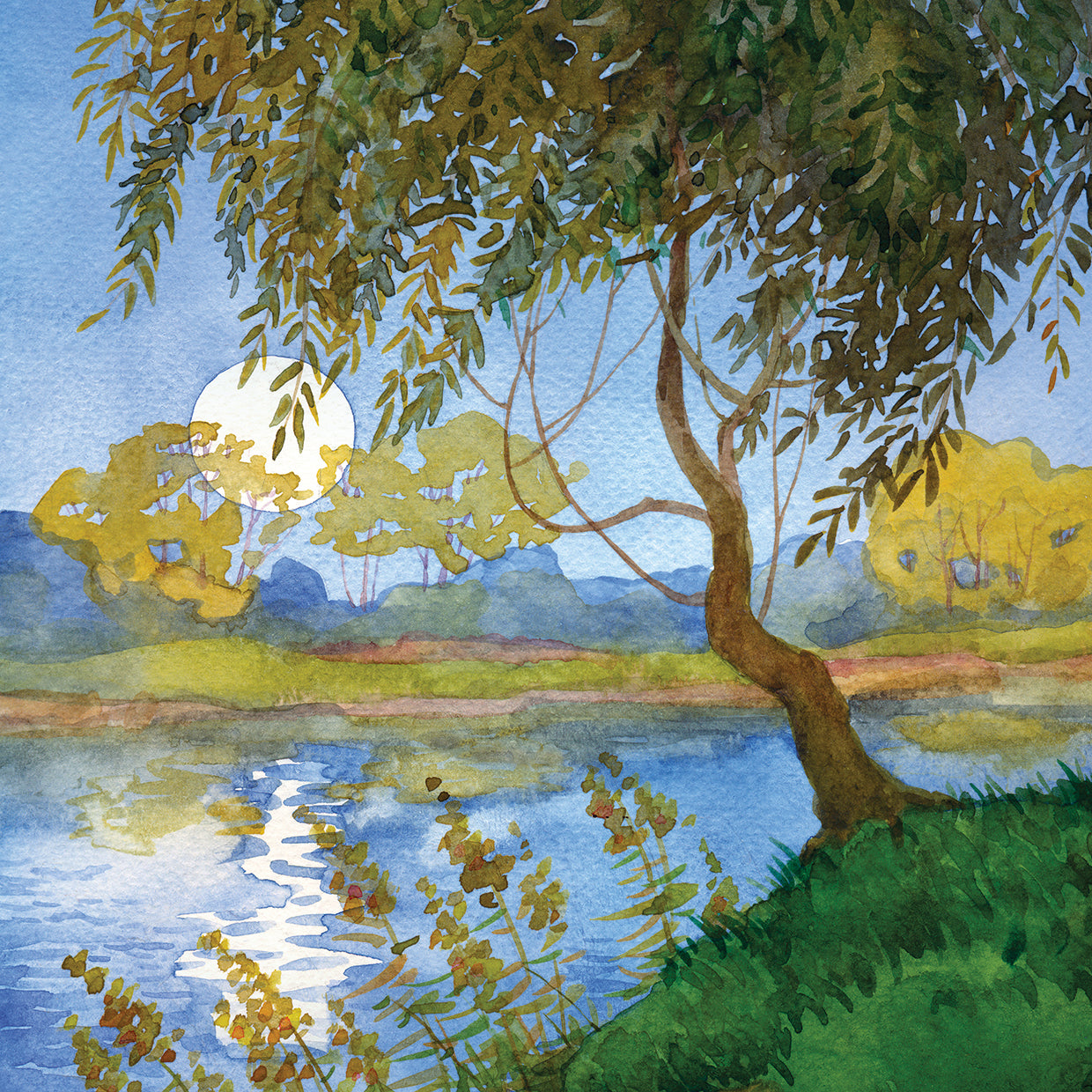 Wind in the Willows River