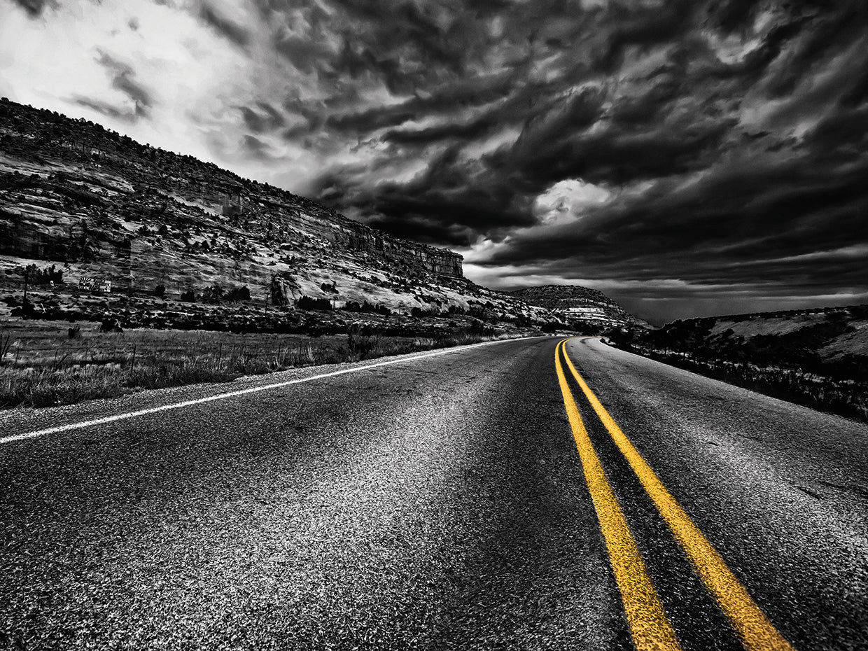 Desert Life in the Fast Lane