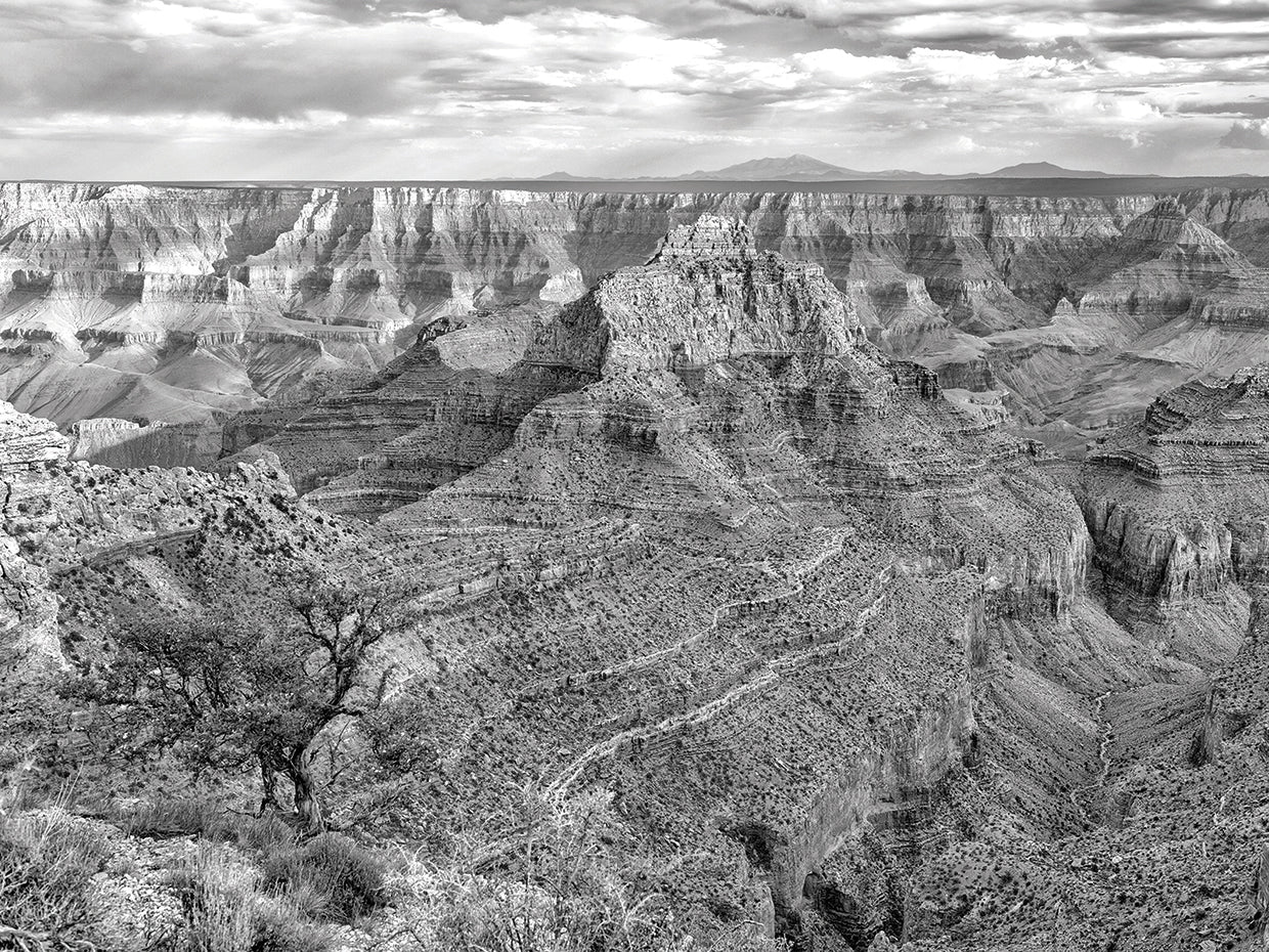 North Rim Ripples Grand Canyon