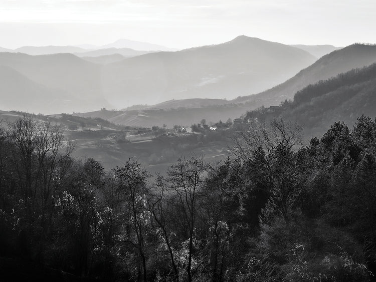 Lombardía Invierno Italia Lienzo Arte