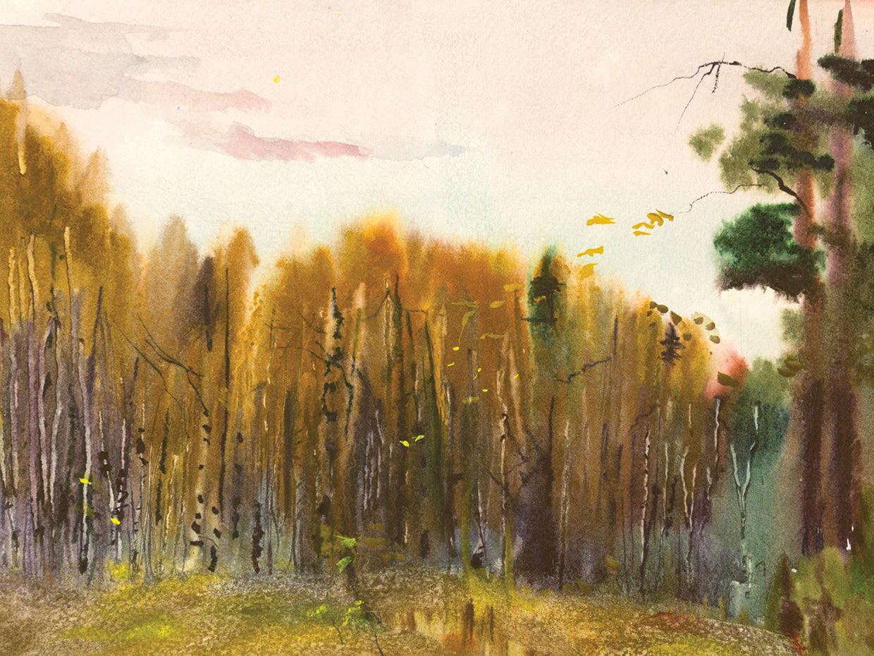Friendly Fall Forest