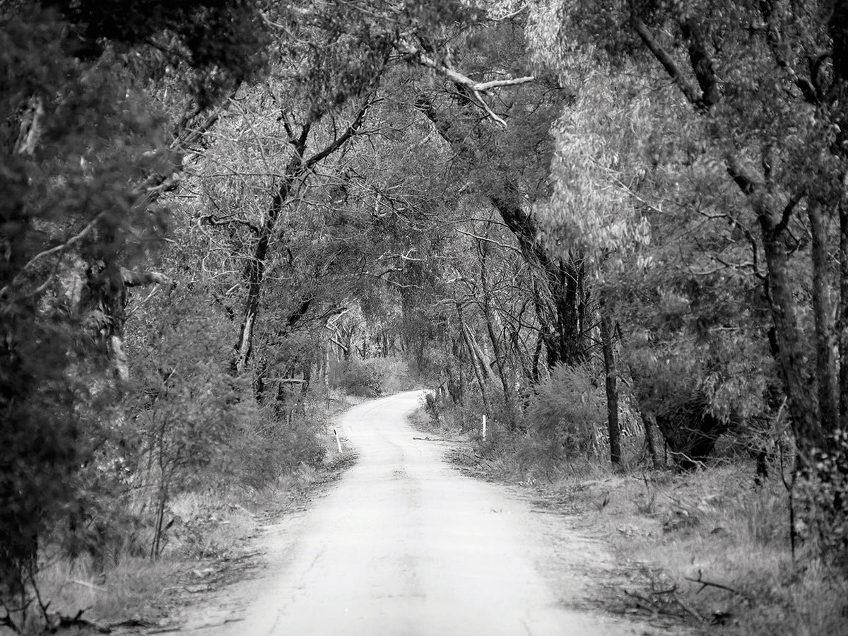 Where the Road May Take You