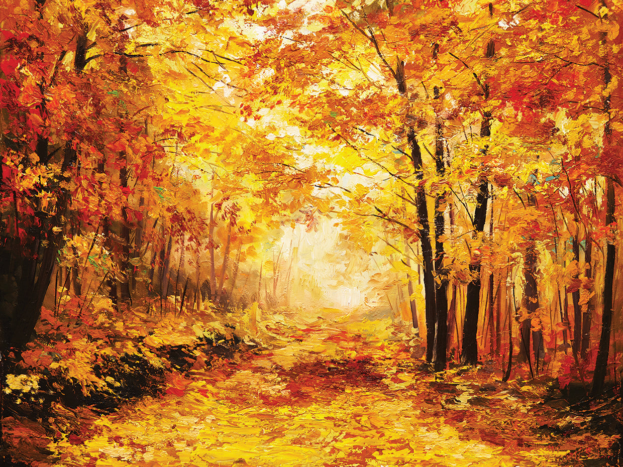 Sweater Weather Fall Forest