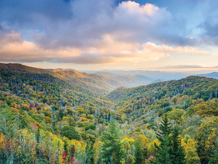 Green Velvet Smoky Mountains
