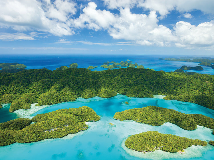 Arte de la lona de las islas tropicales pacíficas del Pacífico