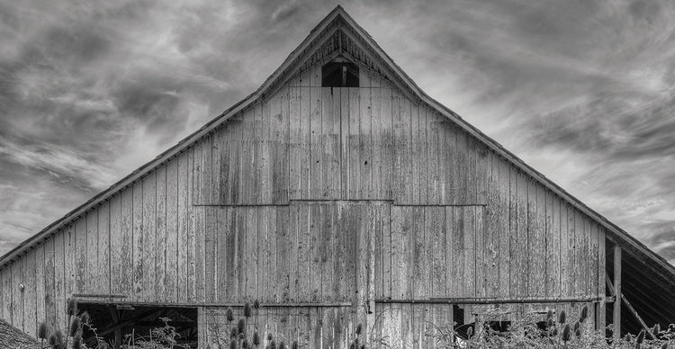 Silver Timbers Rustic Barn