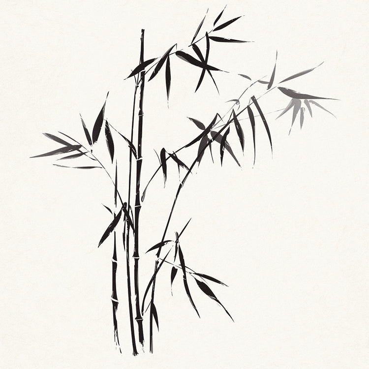 Beautiful Balance Bamboo