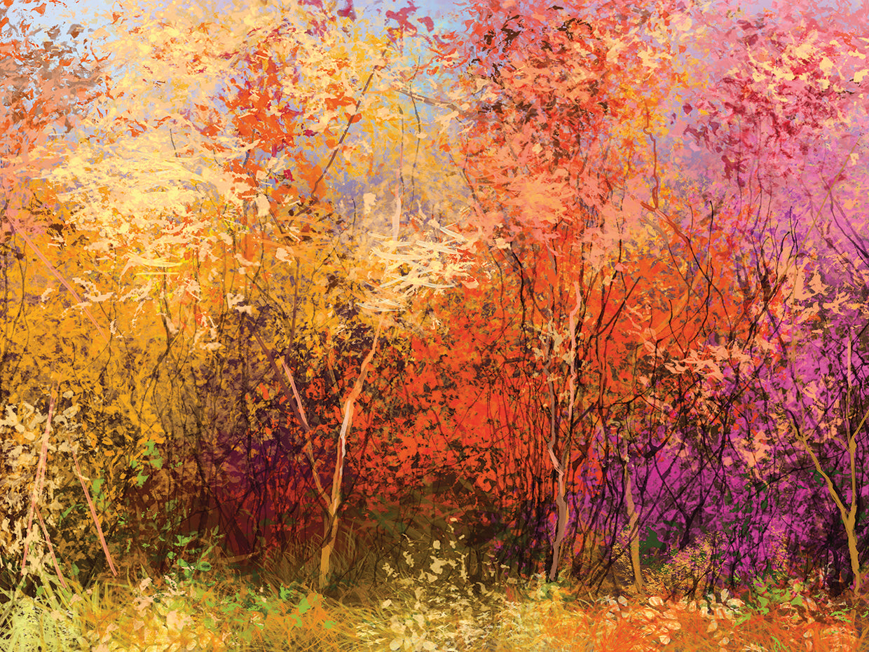 Nature's Painting Forest