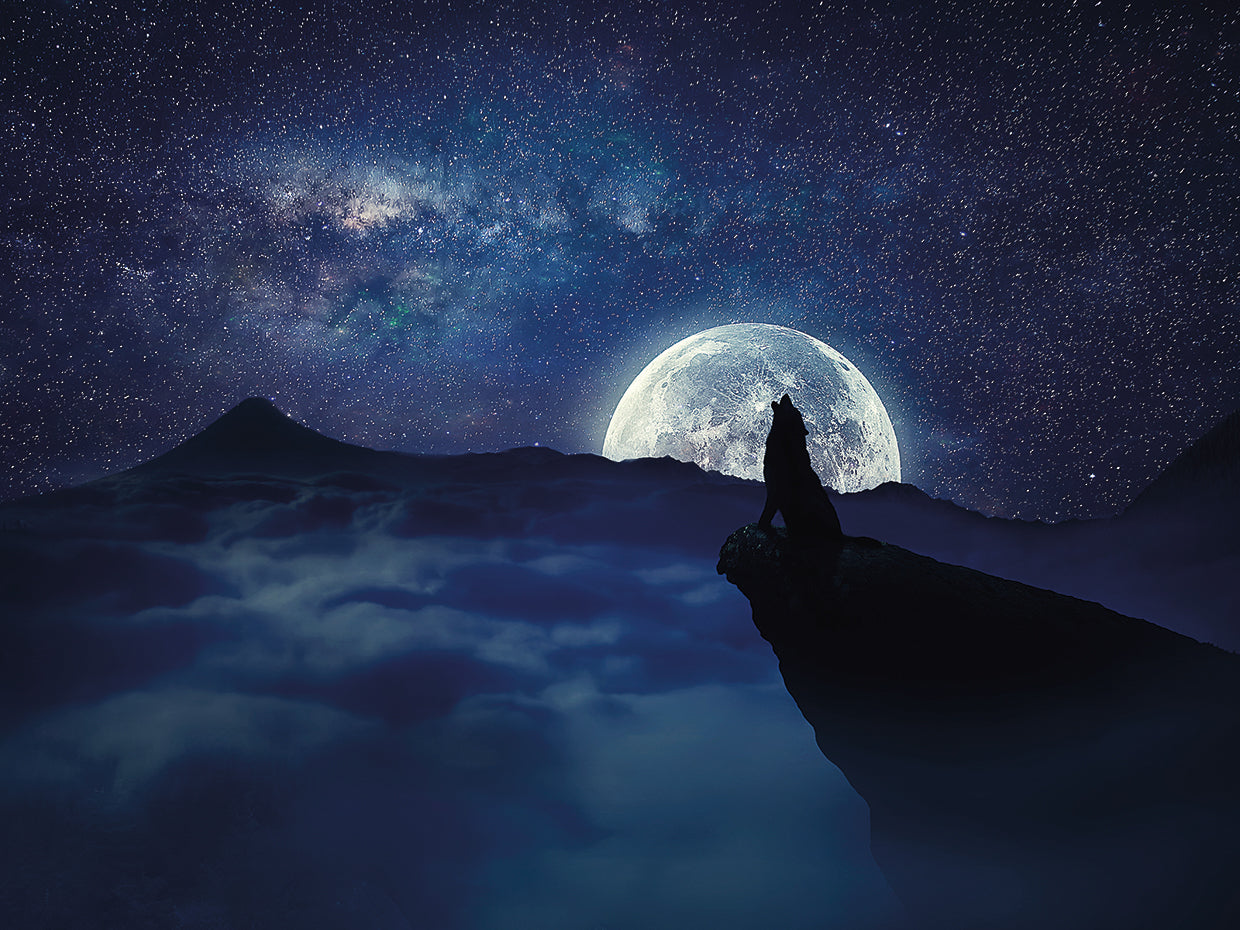 Arte de la lona del aullido del lobo de la luna llena