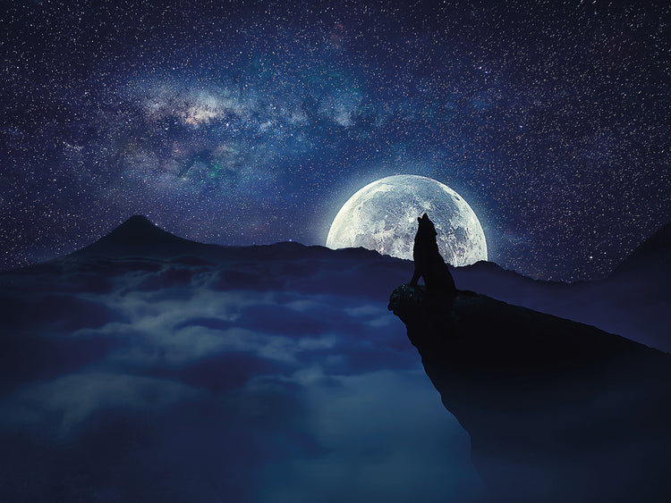 Arte de la lona del aullido del lobo de la luna llena