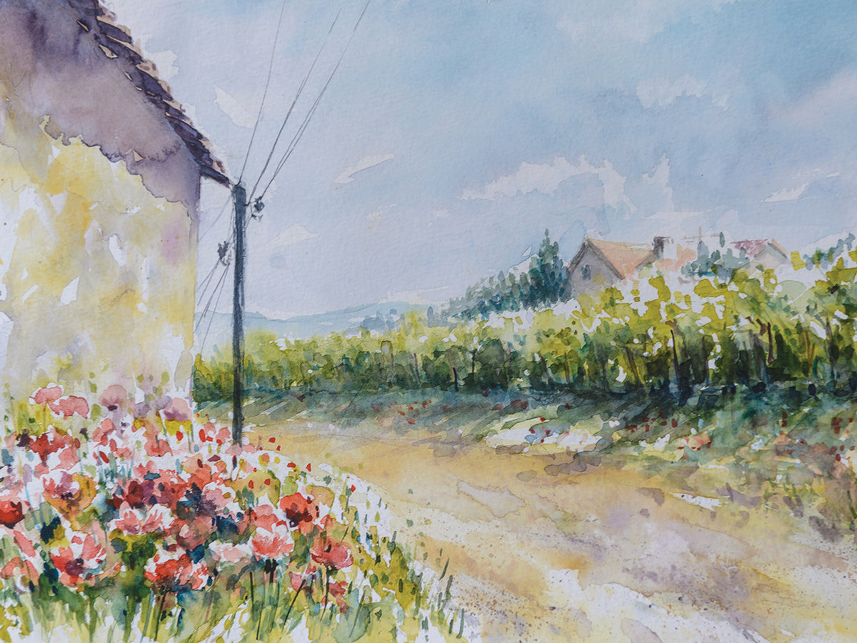 Poppy Country Road
