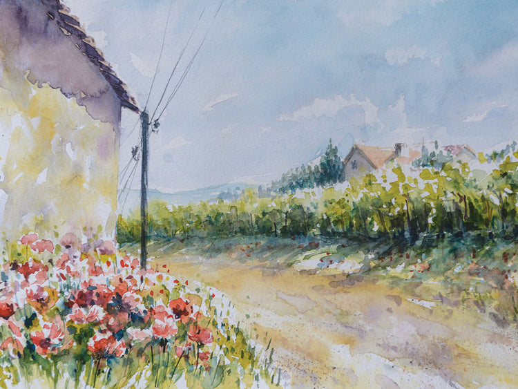 Arte de la lona del camino rural de la amapola