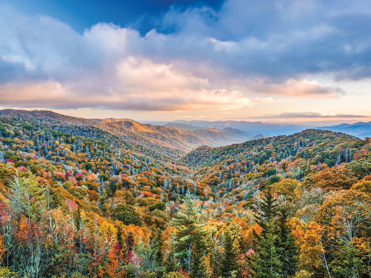 Newfound Gap Smoky Mountains Arte de la lona