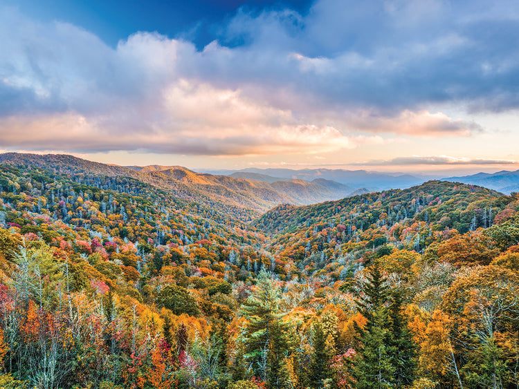 Newfound Gap Smoky Mountains Arte de la lona