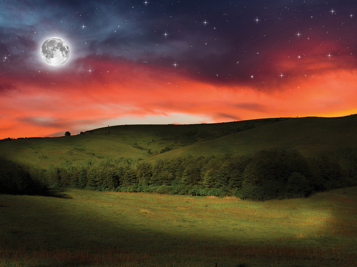 Full Moon Meadow