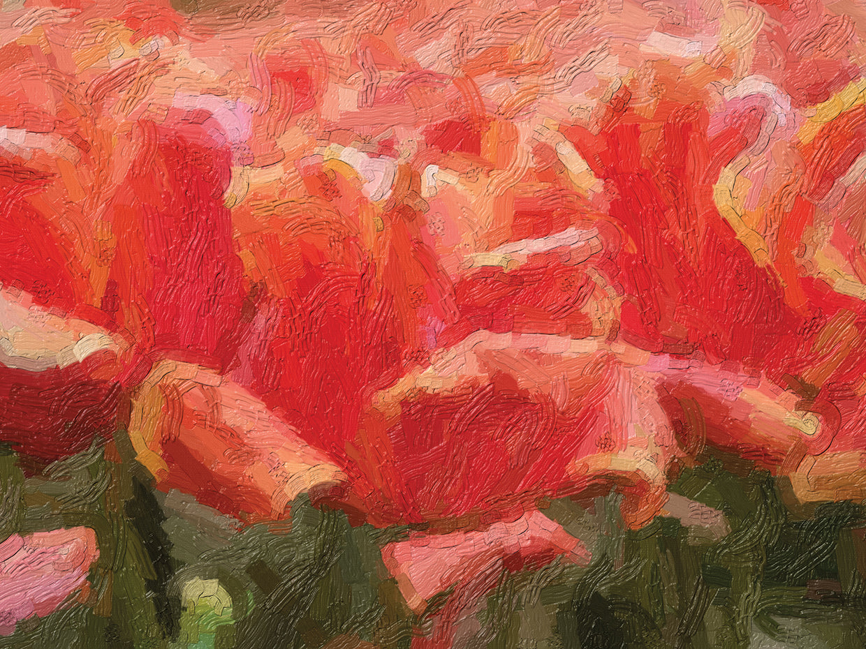 Arte de la lona del jardín de los pétalos de la felpa