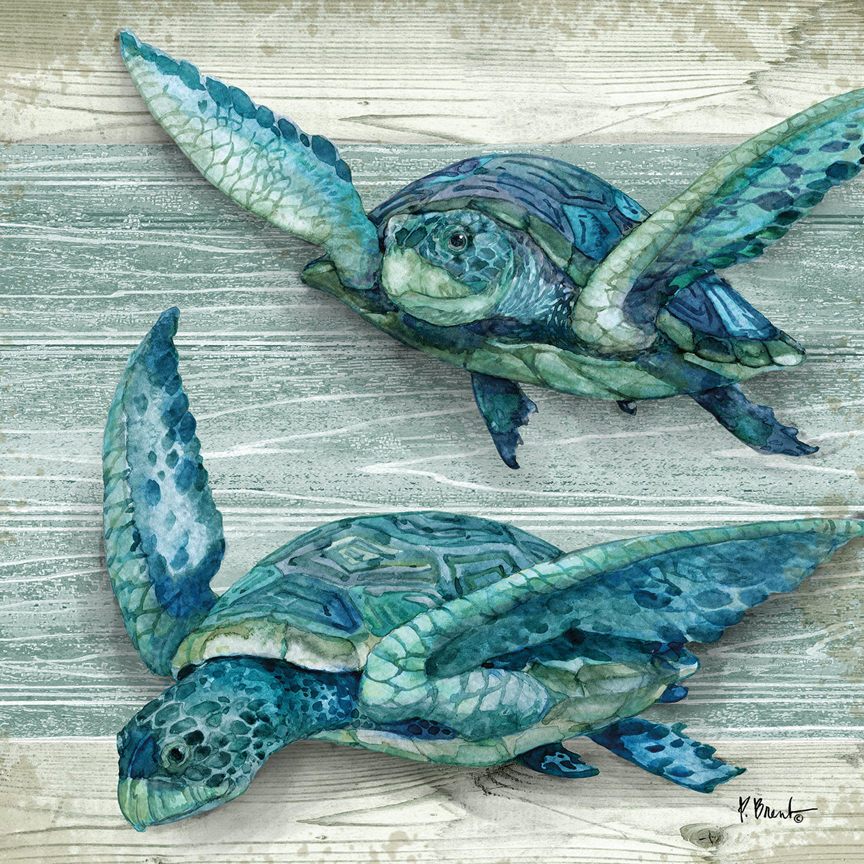 Northpoint Sealife VIs