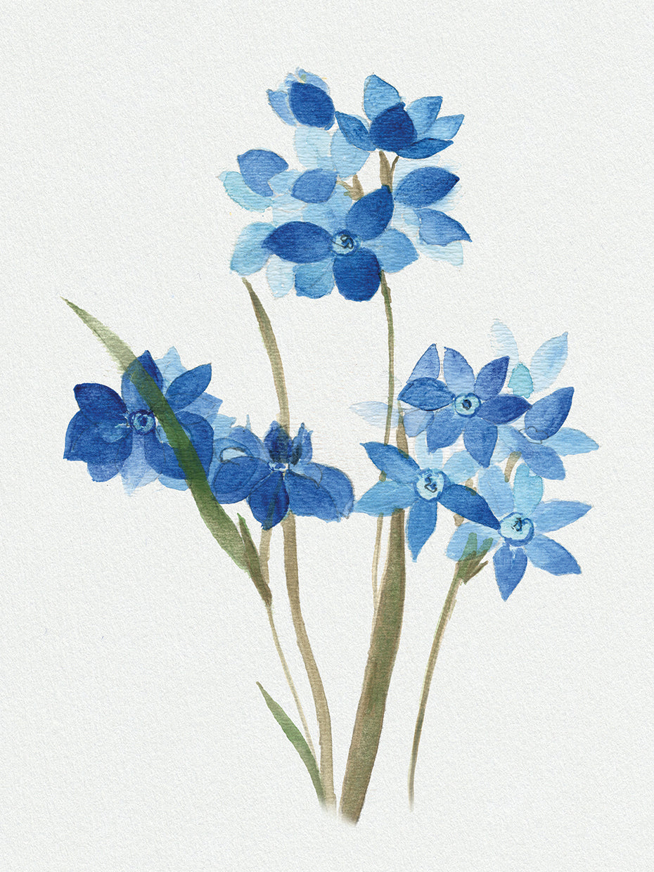 Blue Blossom Botanical I