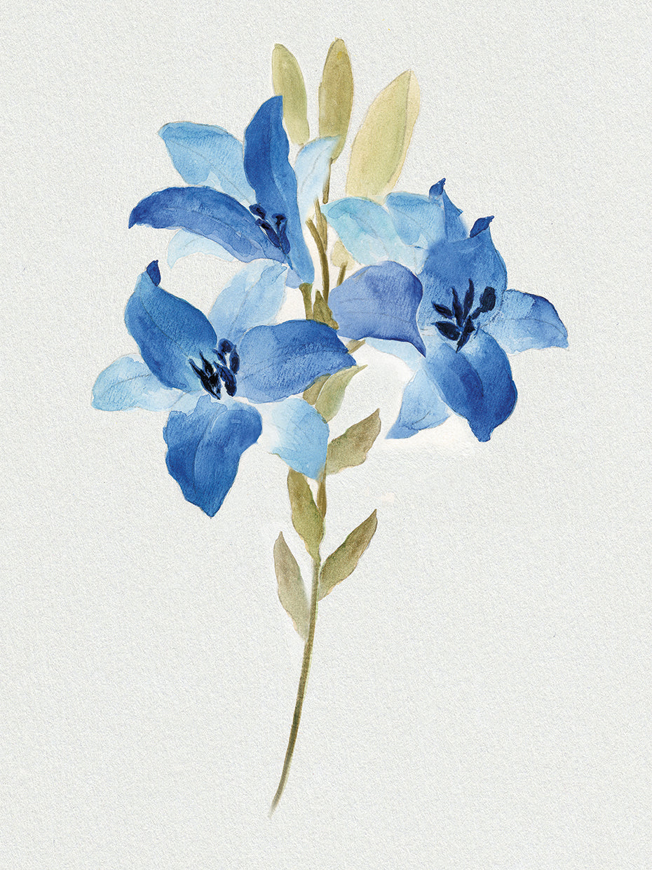 Blue Blossom Botanical III