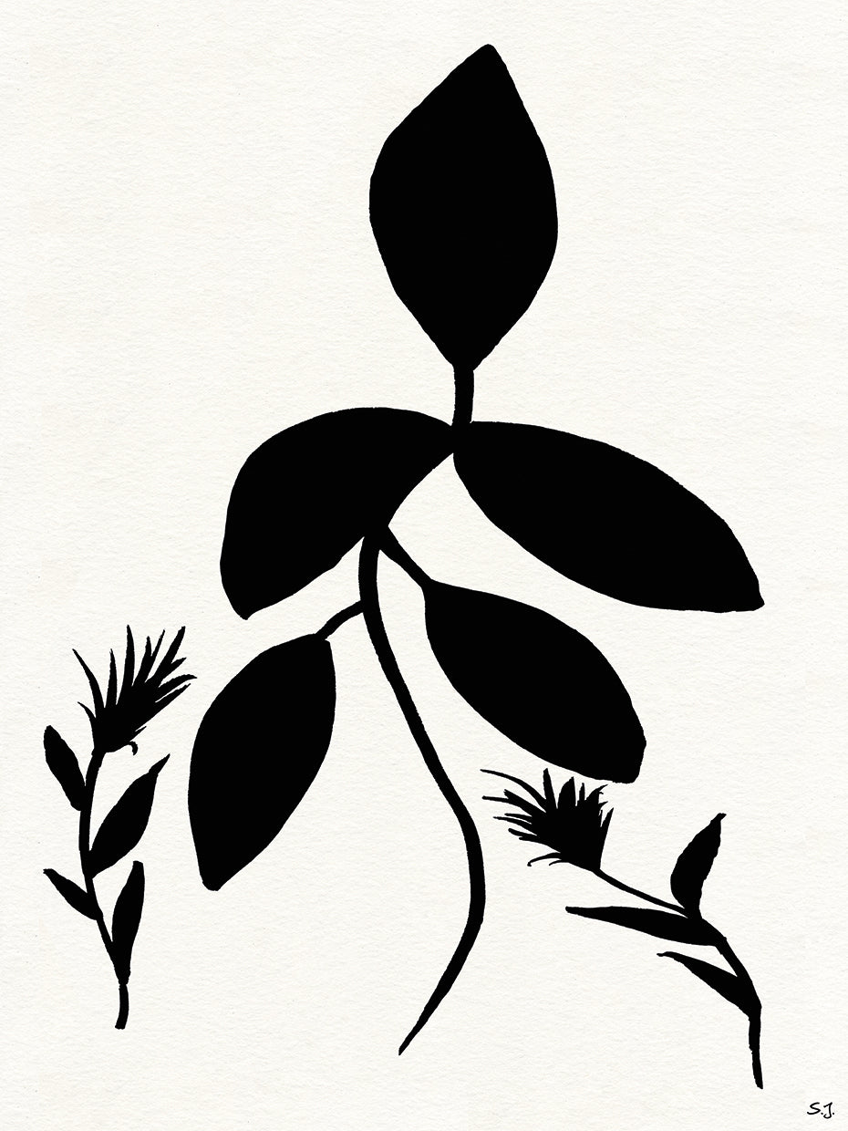 Silhouette Garden I