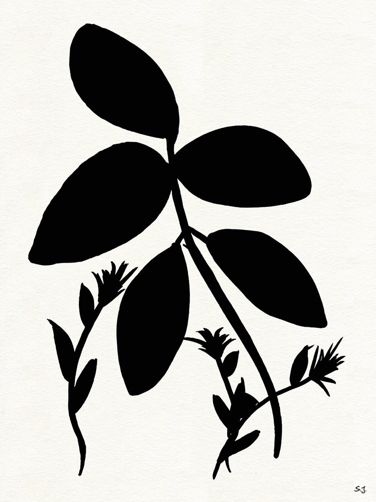 Silhouette Garden II