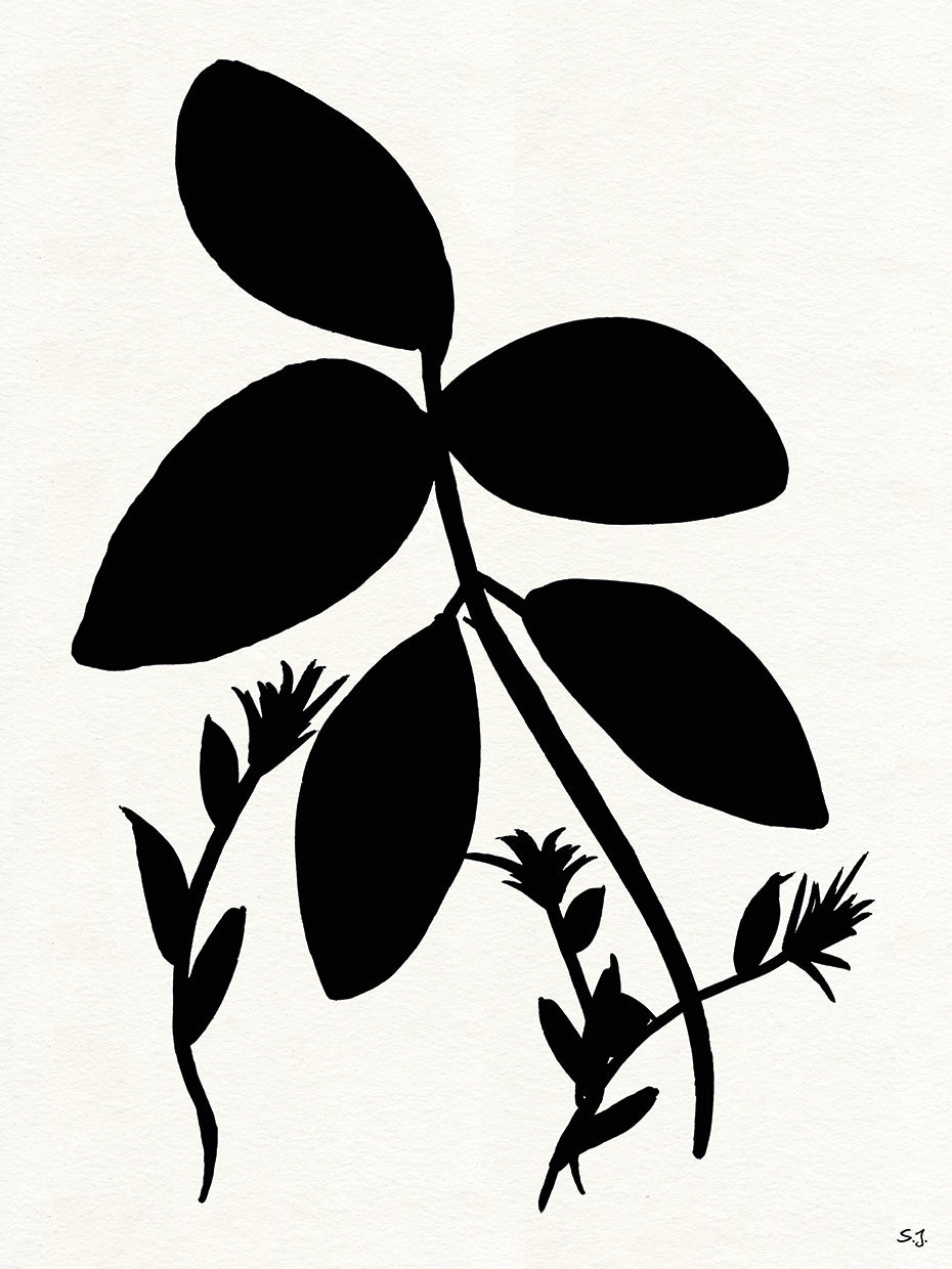 Silhouette Garden II