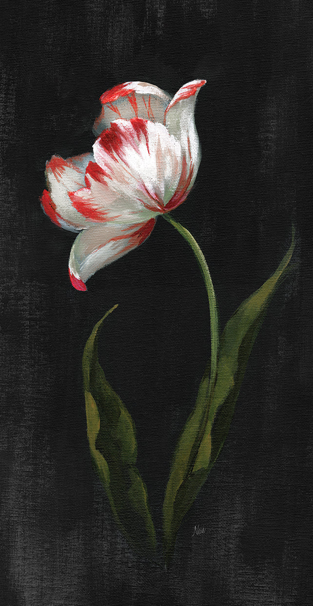 master-botanical-ii-nan
