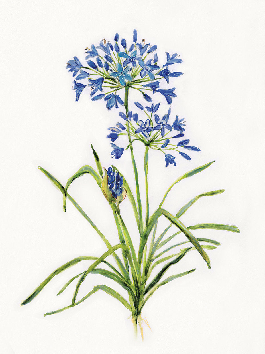 Blue Lively Botanical I