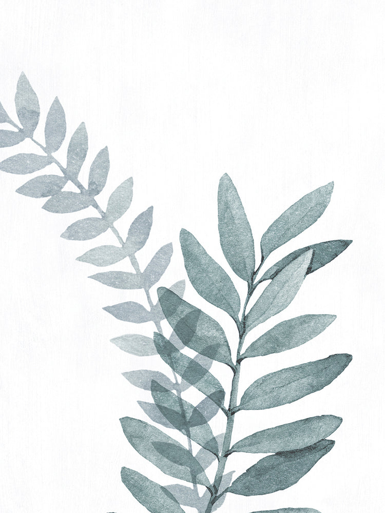 Blue Botanical Wash II