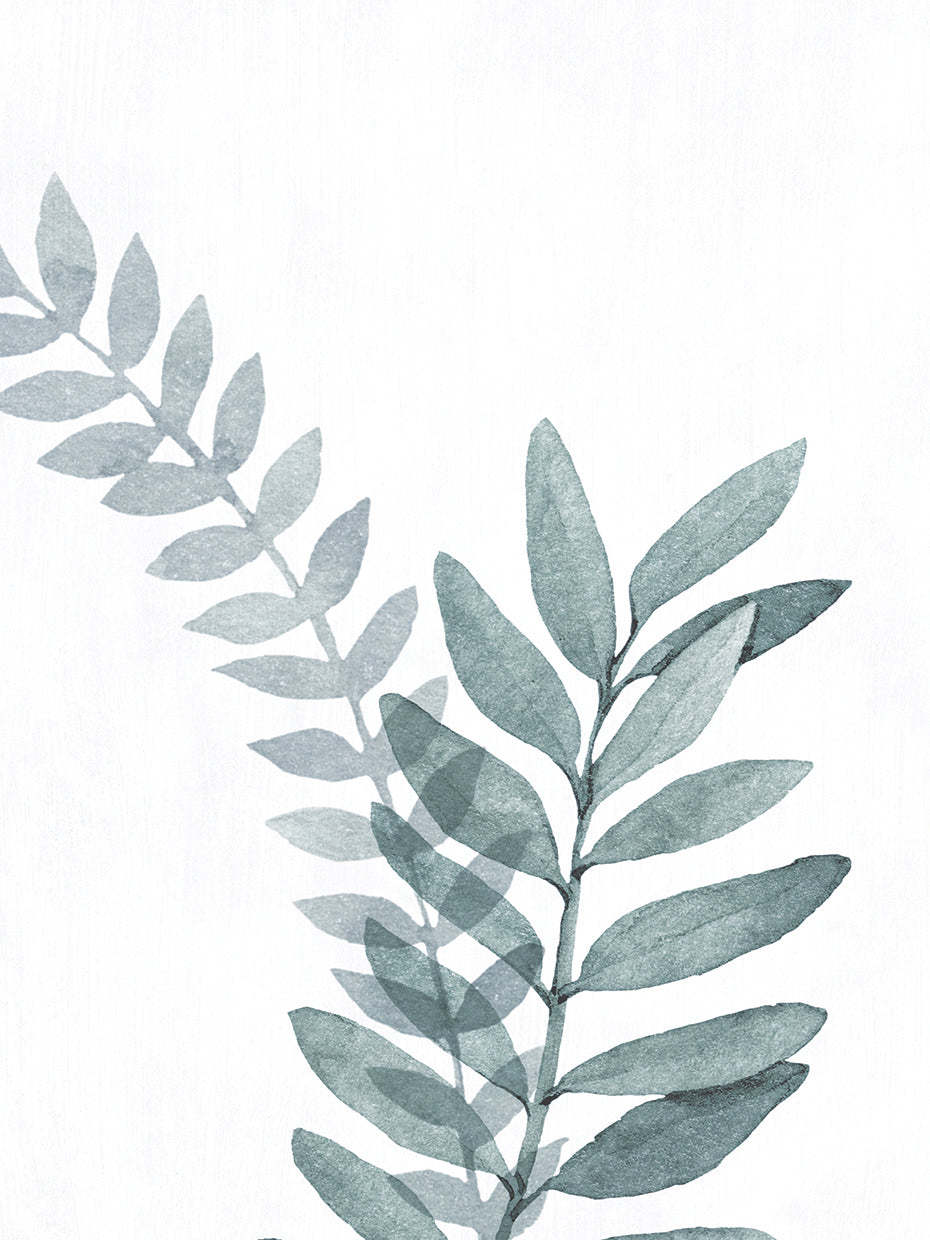 Blue Botanical Wash II