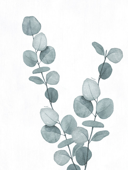 Blue Botanical Wash III Canvas Print