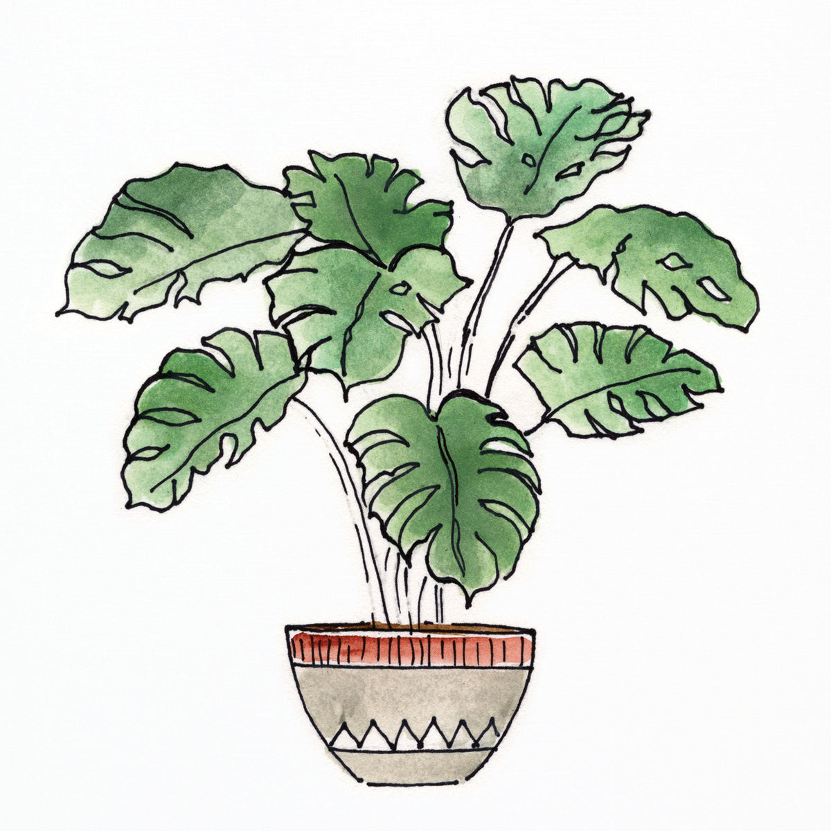 Boho Greenery II