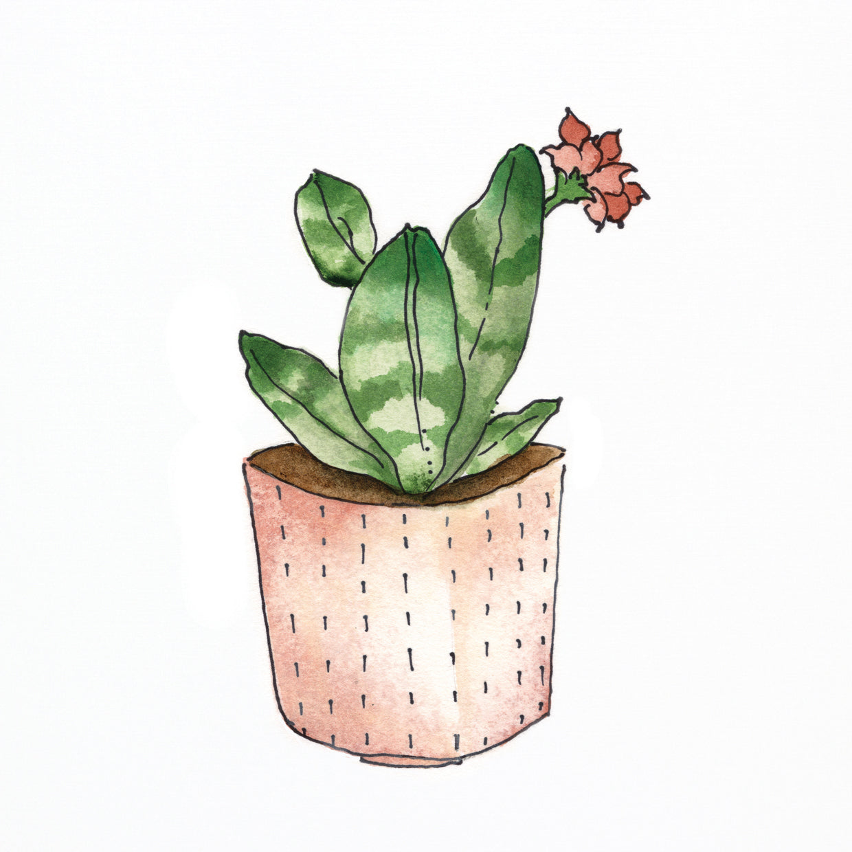 Boho Greenery IV