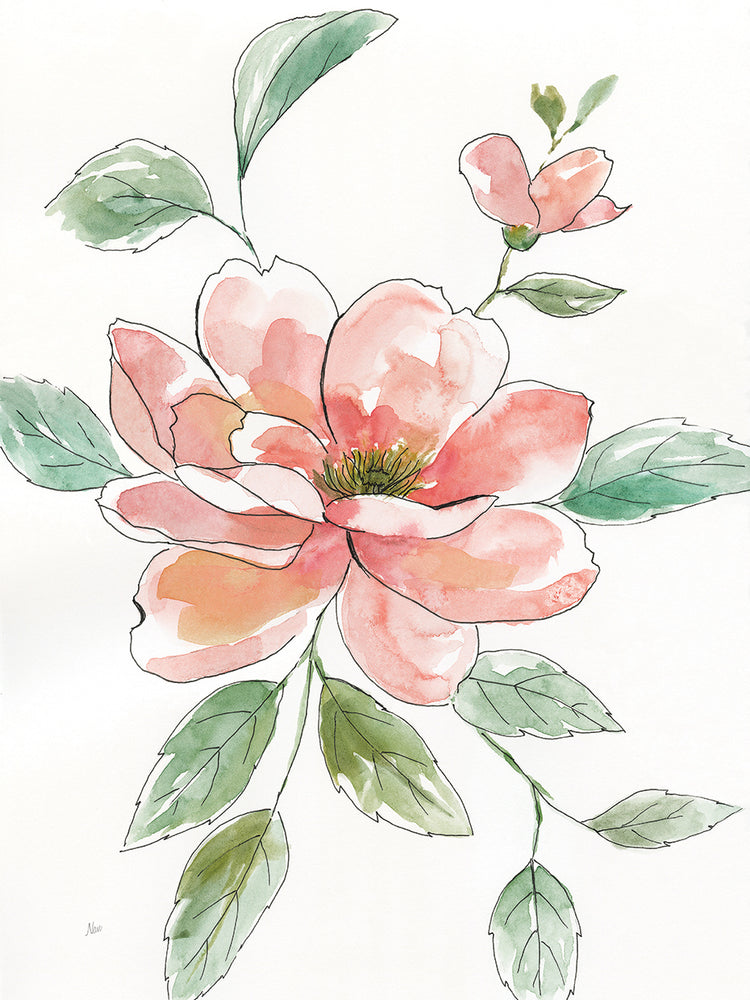 Peony Contour