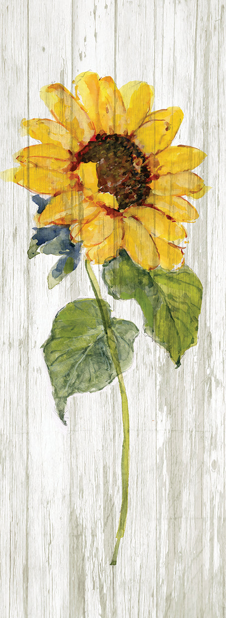 Sunflower in Autumn I