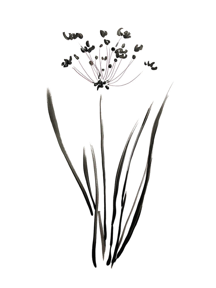 Inky Botanical II