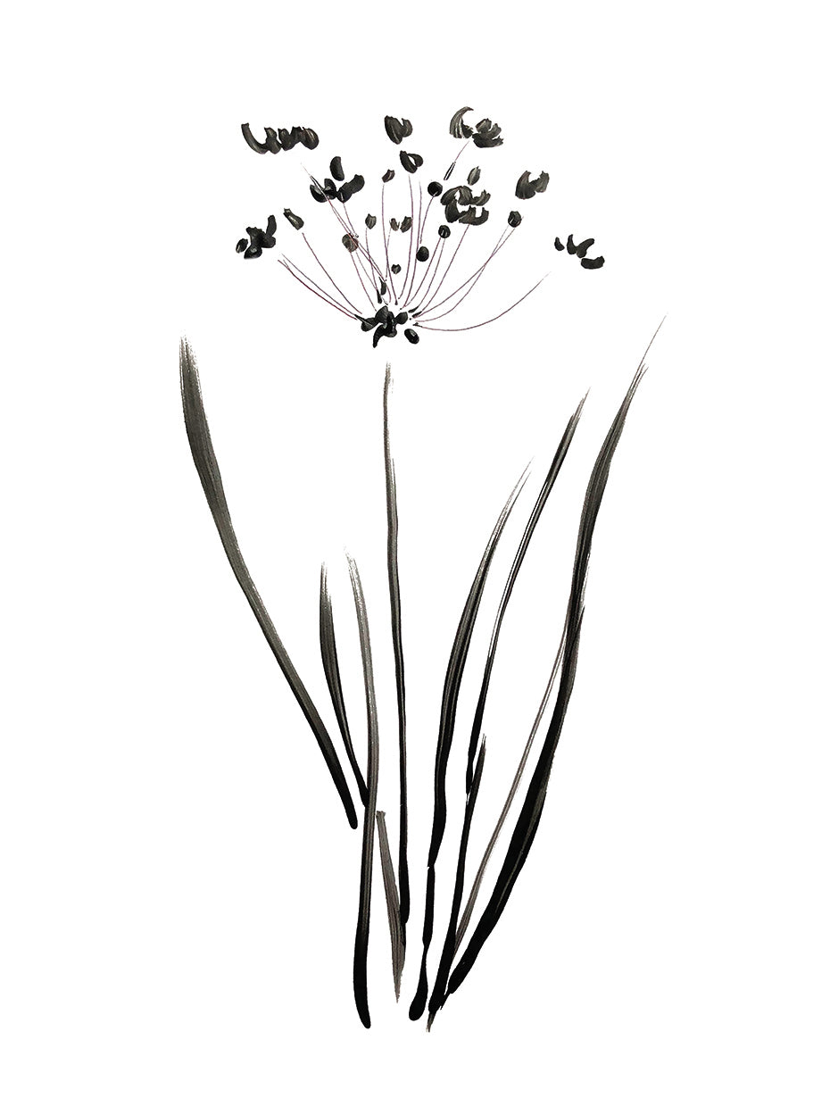 Inky Botanical II