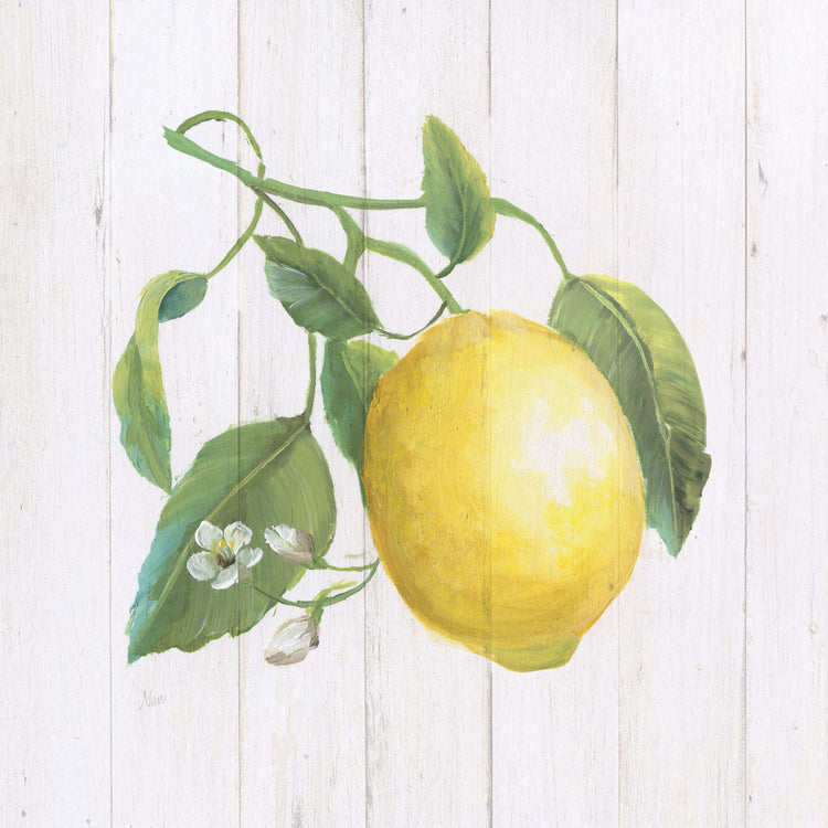 Limón fresco I Lienzo
