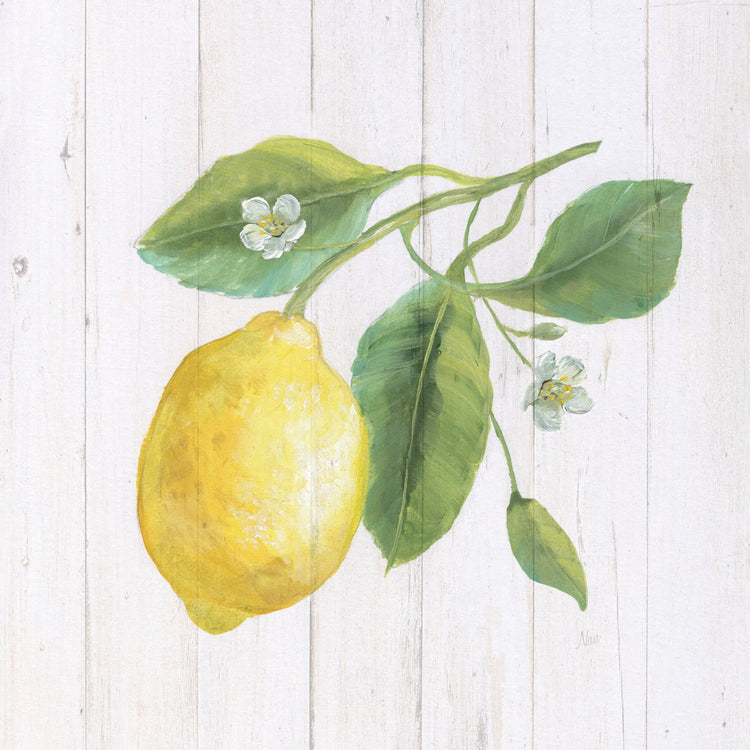 Limón fresco II Lienzo