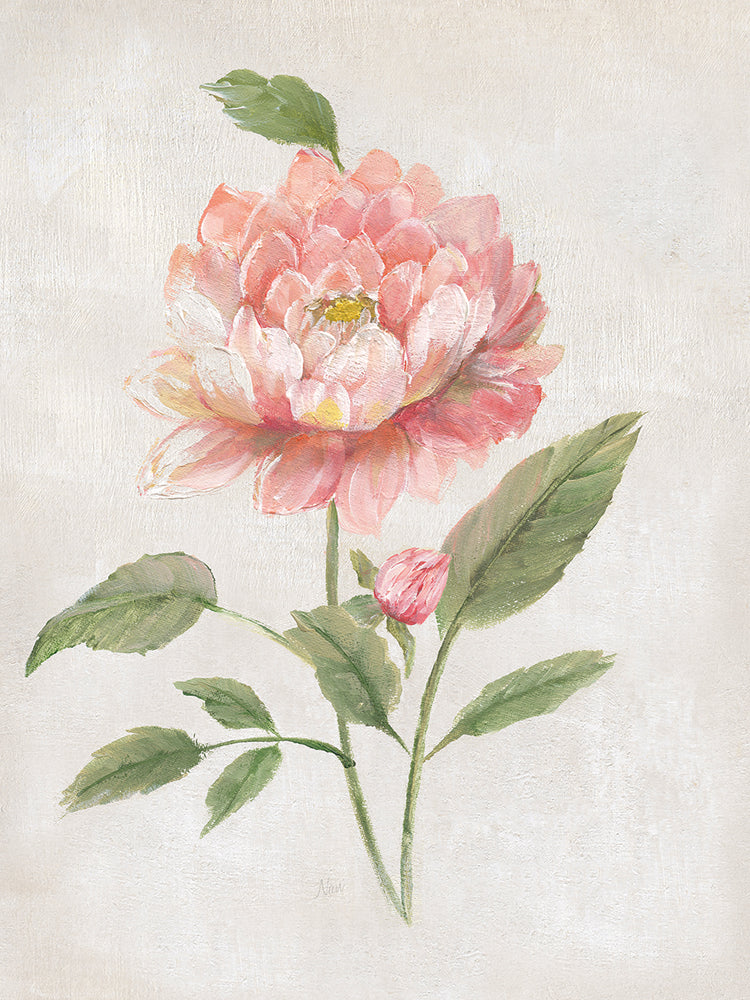 Grandiflora III