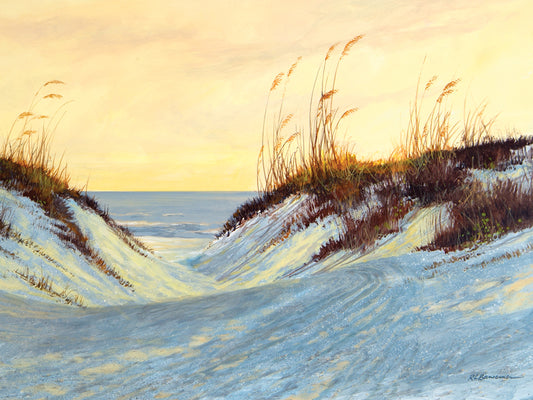 Dune Blush Canvas Print