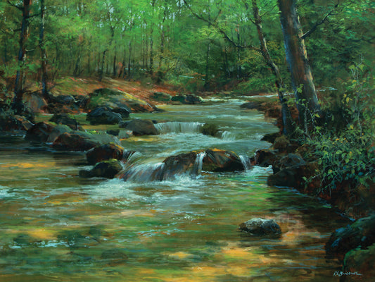 Davidson River Canvas Print