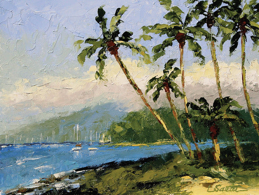 Hawaii Avnet Canvas Print