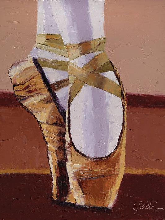 Ballet shoes Canvas Print