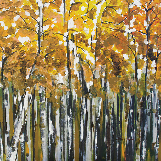 Fall Trees Canvas Print
