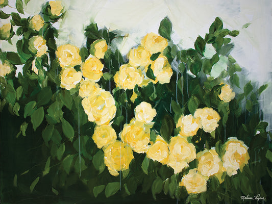 Yellow Rose Bush Canvas Print