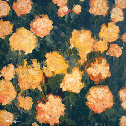 Marigolds Canvas Print