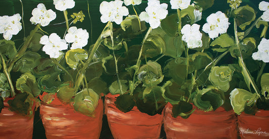 Pots of Geraniums Canvas Print
